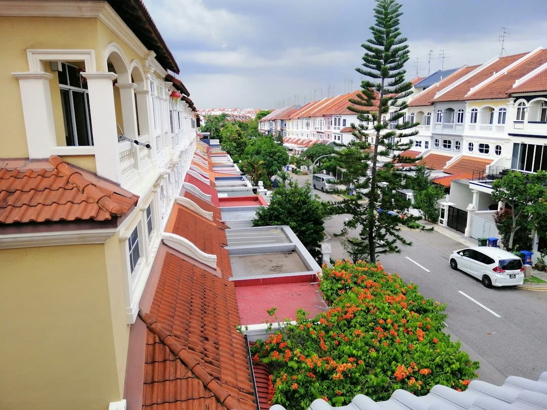 Tree-lined residential street in Upper Thomson, Singapore