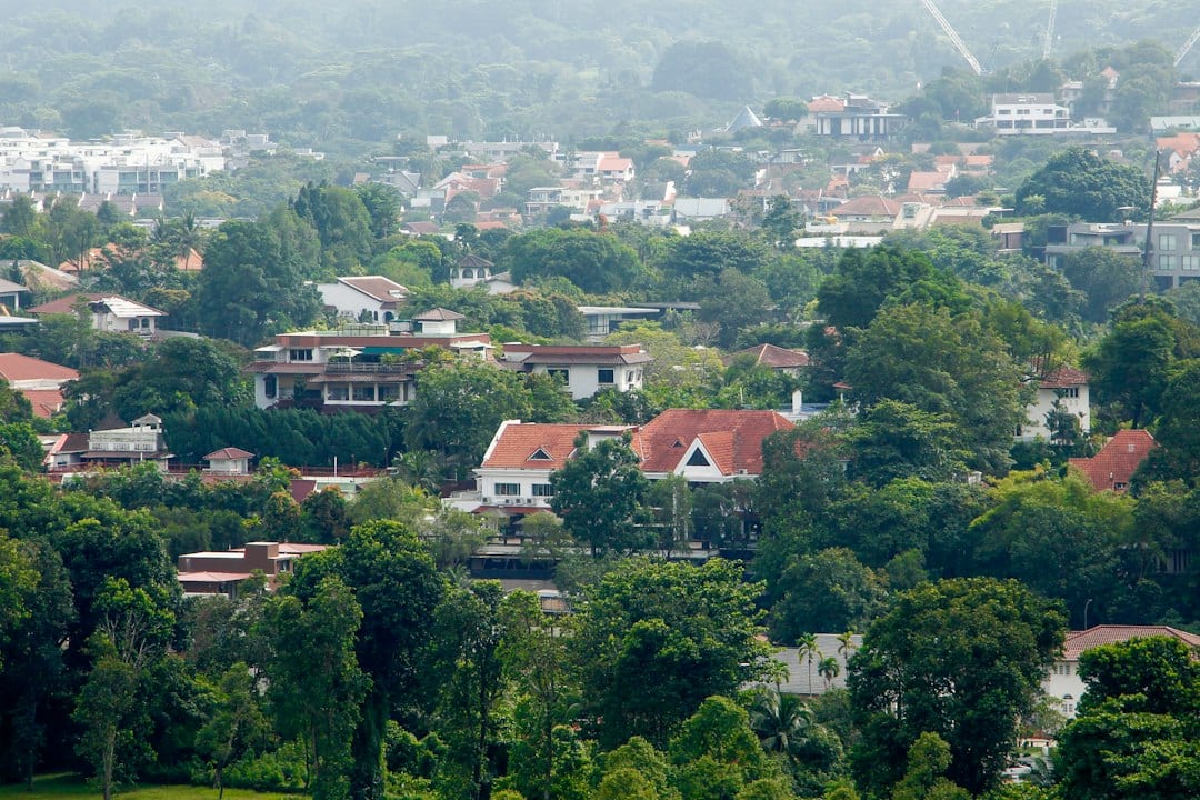 Landed homes nestled among mature greenery in Upper Thomson, District 26